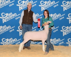 2014 Second Place Finewool Class 4 at San Antonio Shown by Morgan Mathis