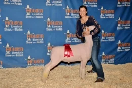 2015 2nd Place Middle at the Houston Livestock Show and Rodeo Shown by Monaco Schmidt