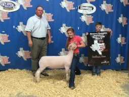 2016 Reserve Champion Southdown at TBSS Levelland Show A Shown by Carlye Winfrey