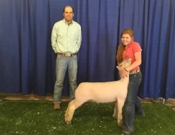 2016 Champion Southdown at the Permian Basin Fair Show B Shown by Carlye Winfrey