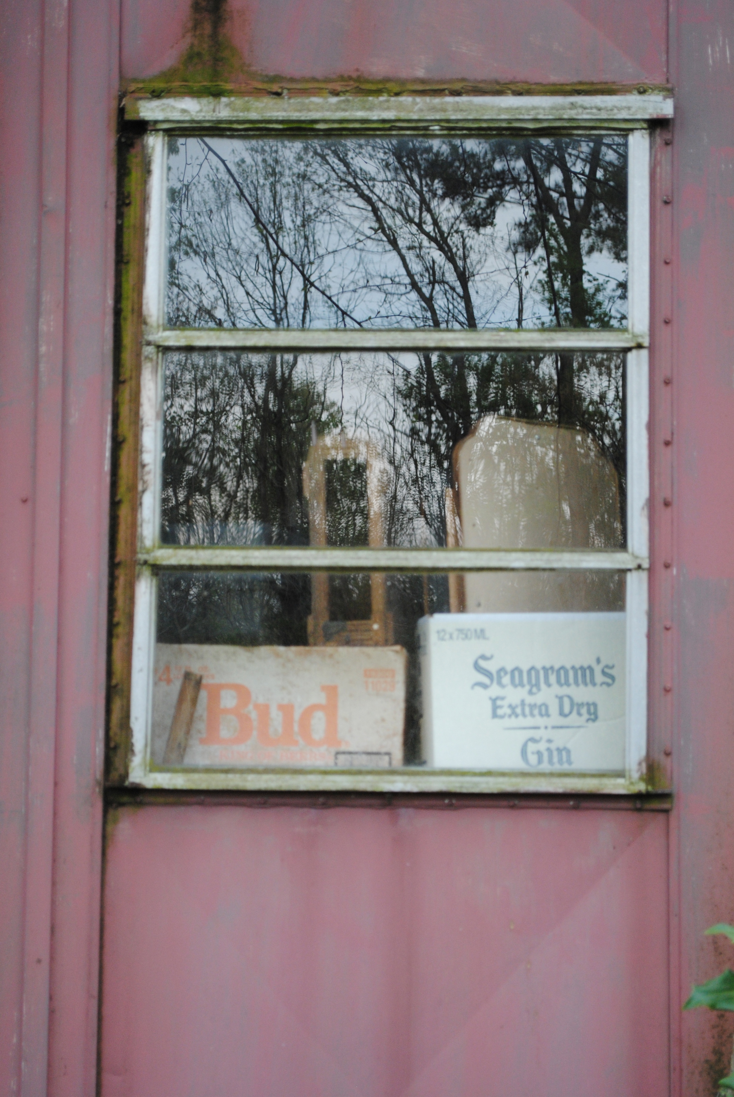 DSC_0280.jpg