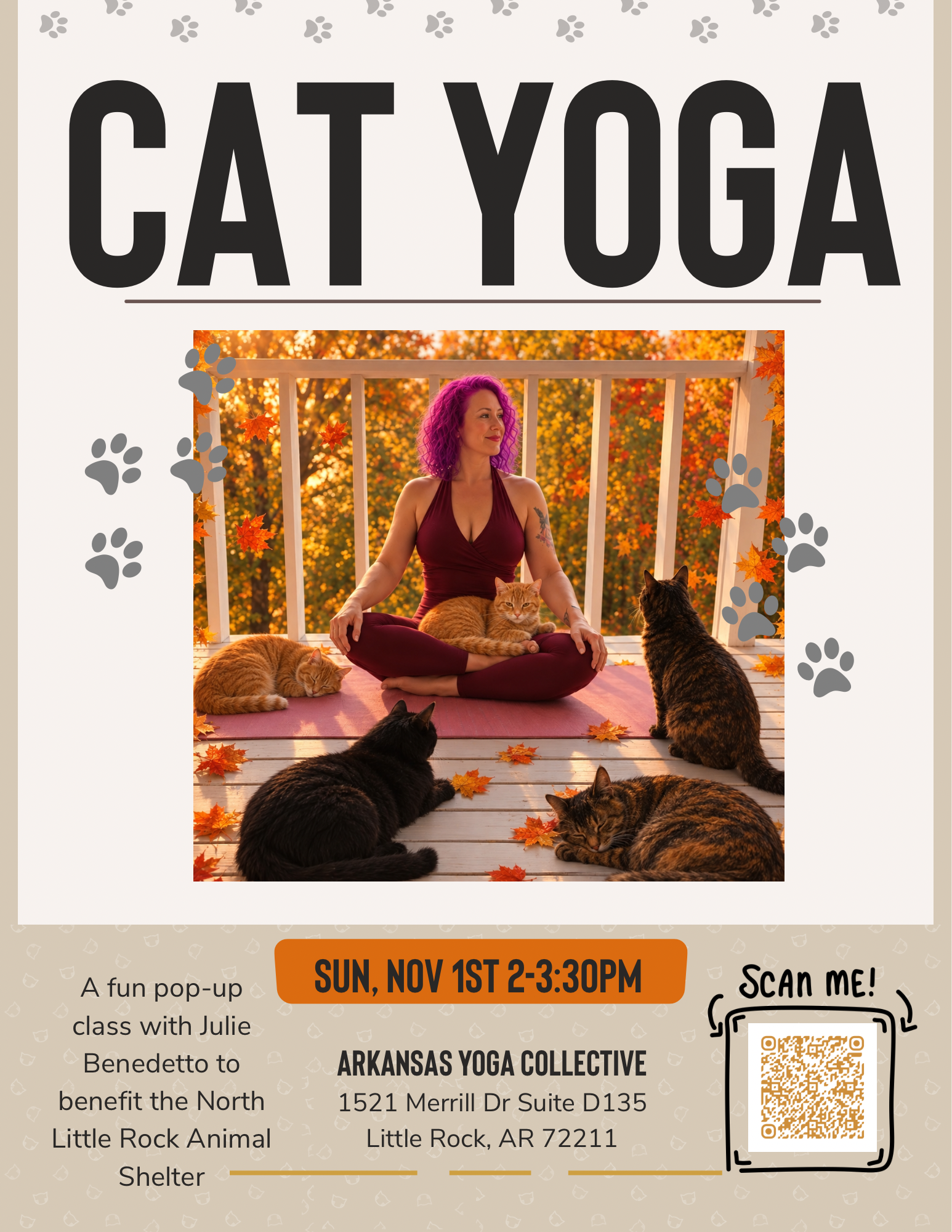 Cat Yoga for the NLR Animal Shelter