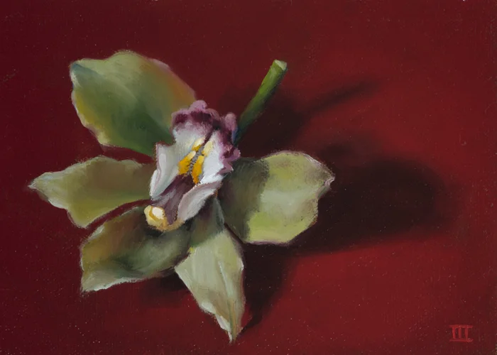 2016EVWIII - Cymbidium web.jpg