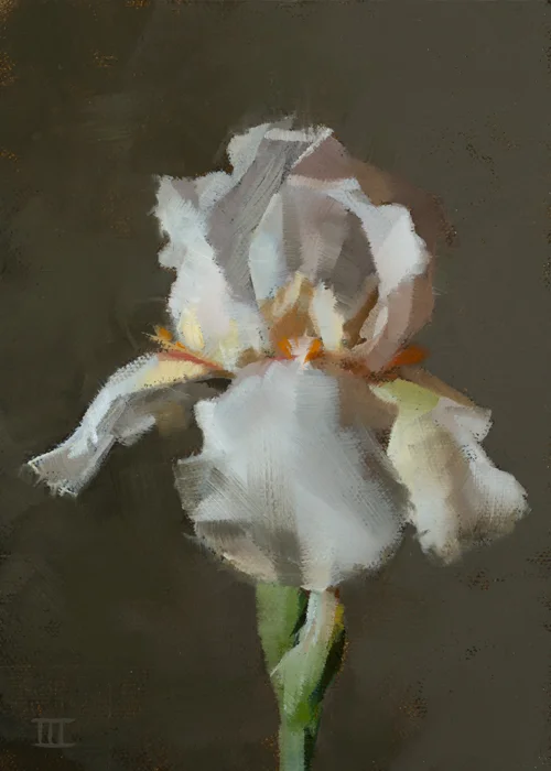 2016EVWIII - Iris Light web.jpg