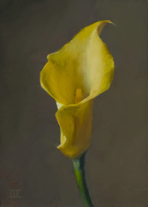 2016EVWIII - Calla Lily web.jpg