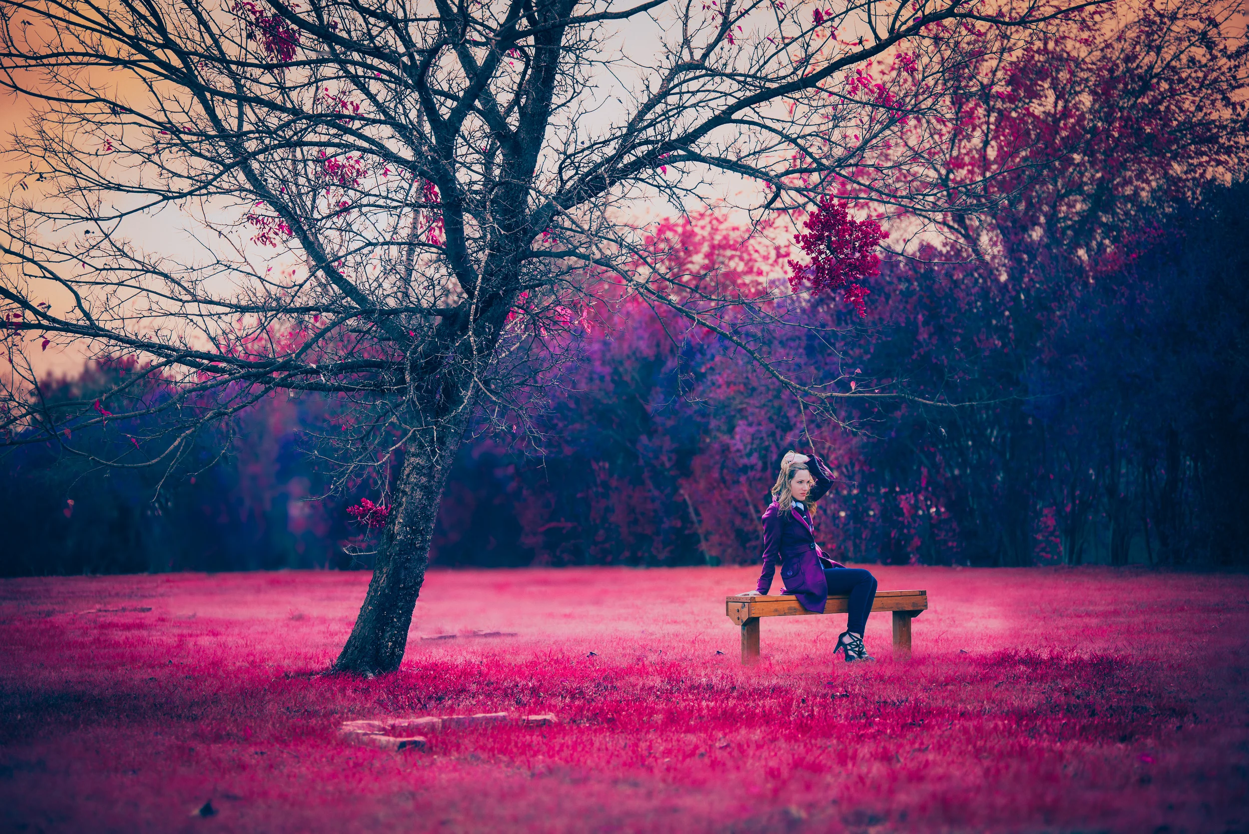 Photoshop by Daniel Eubank