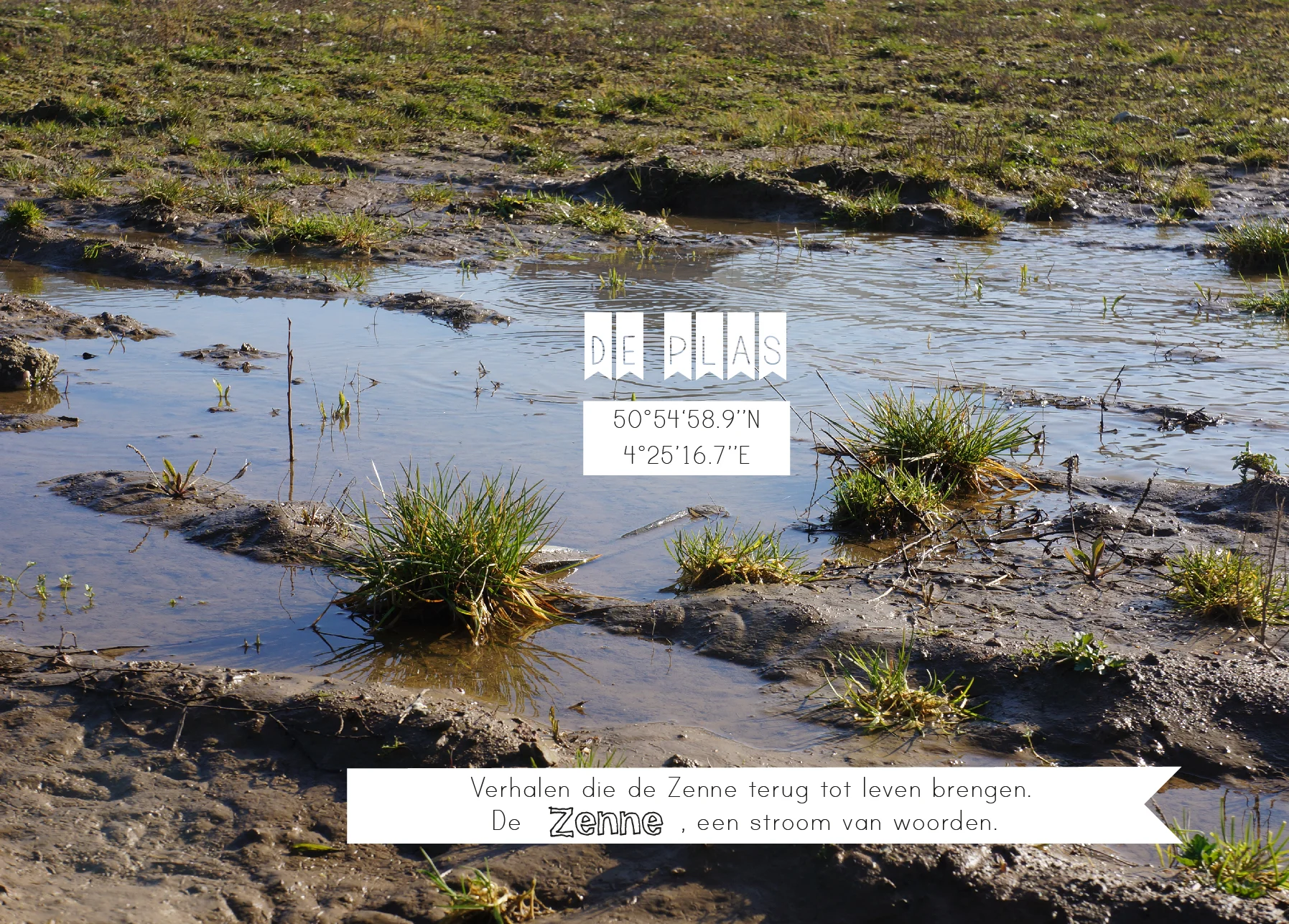 De plas_voor-05.jpg