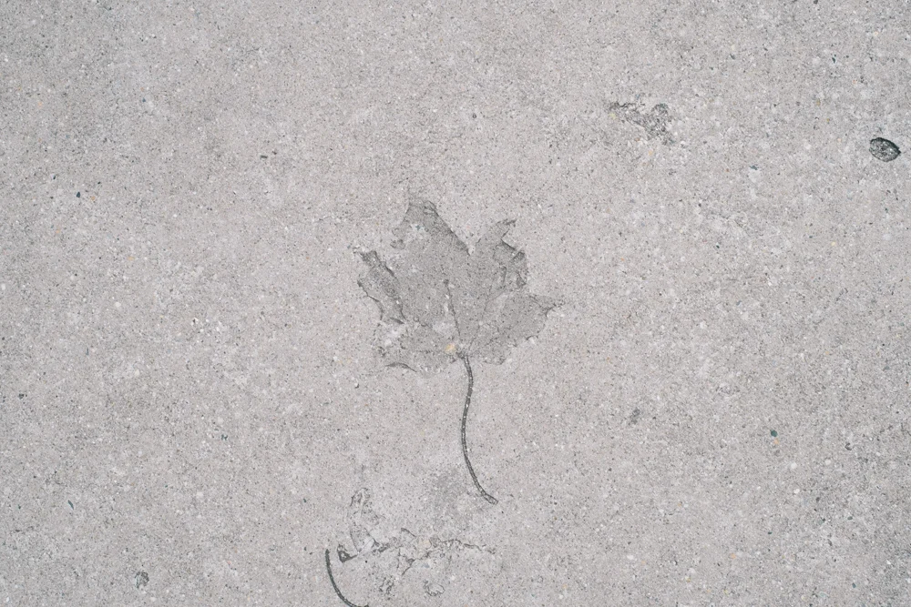 untitled (90 of 90).jpg