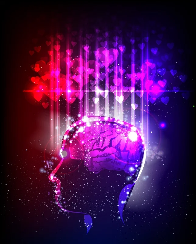  Dates Available in Mid Wales October-Feburary