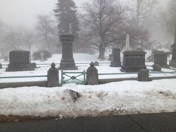The Tweed Family plot