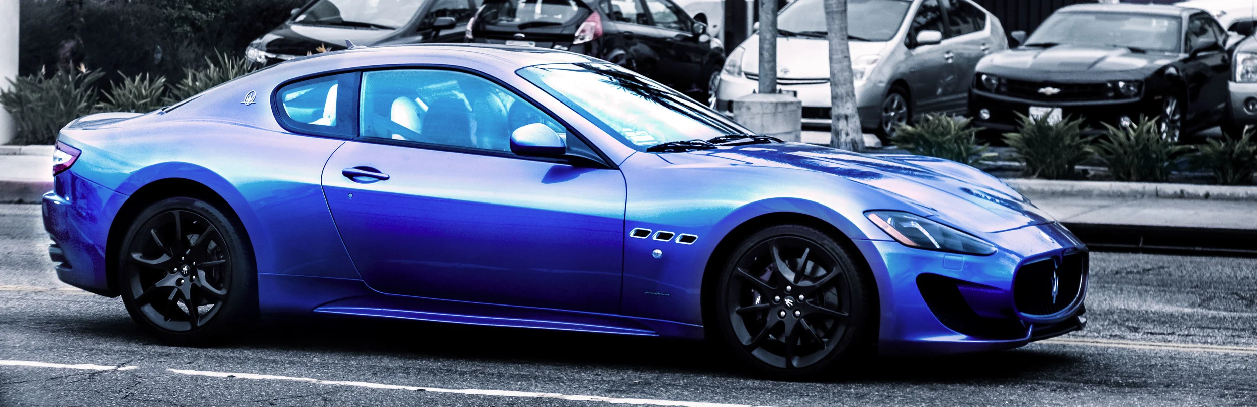 _DSF4007 edited.jpg