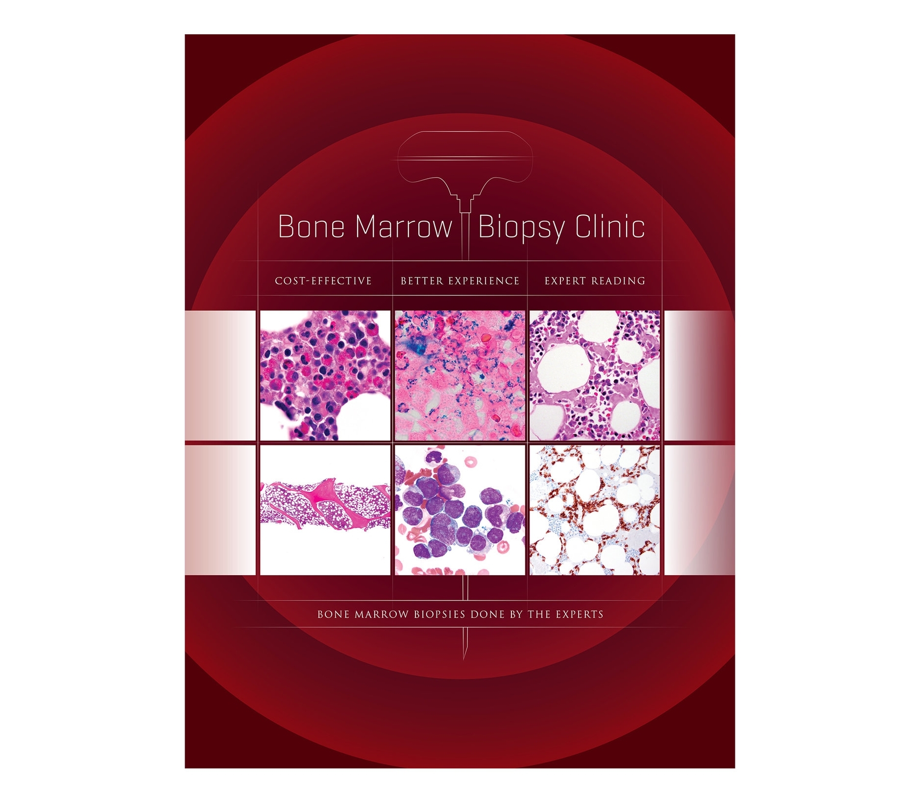 BMBC_Brochure_cover.jpg