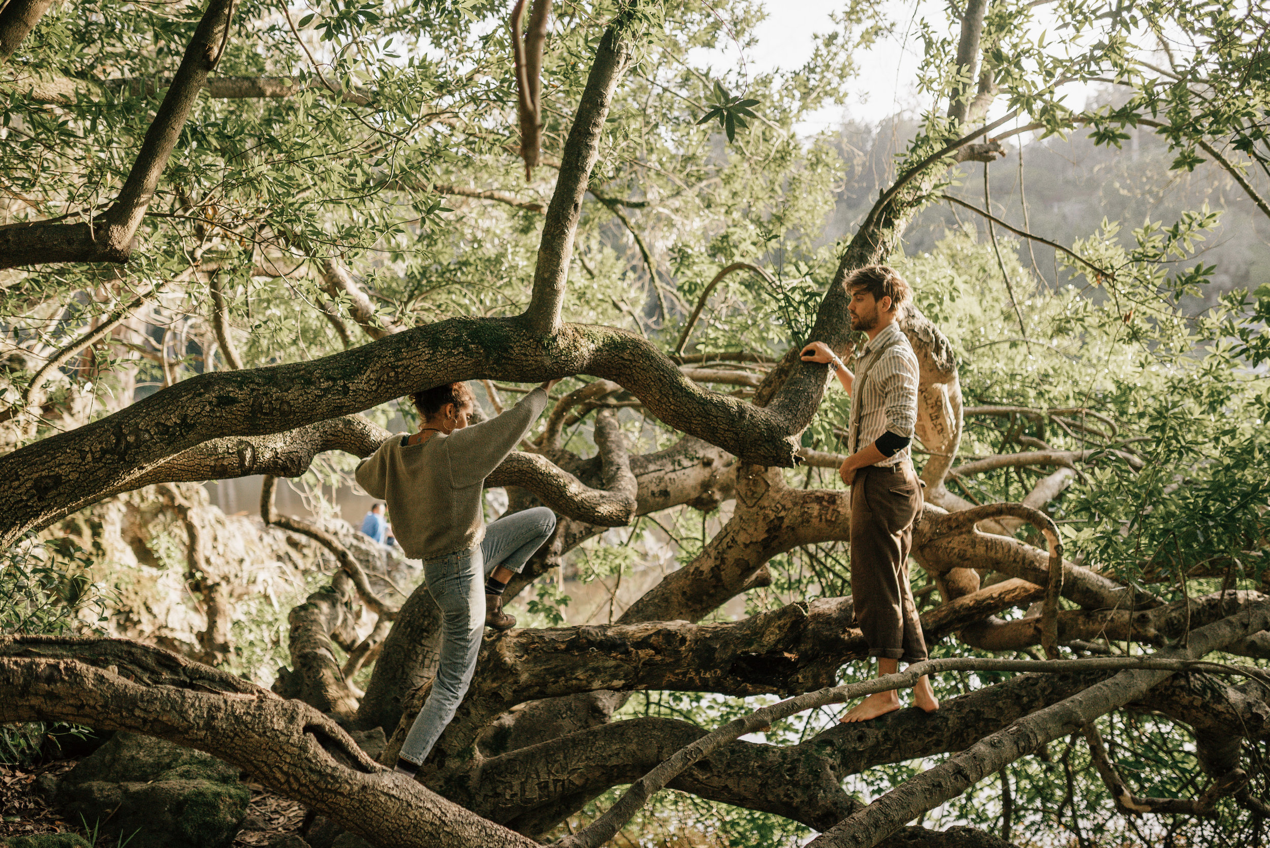 couple climbing a tree next to lake anza