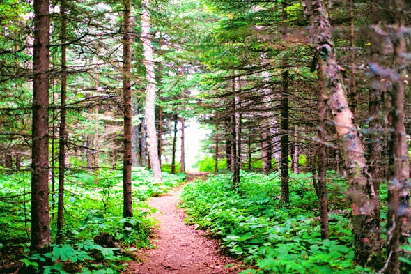 Cascade-river-state-park-Hiking-Minnesota04.jpg