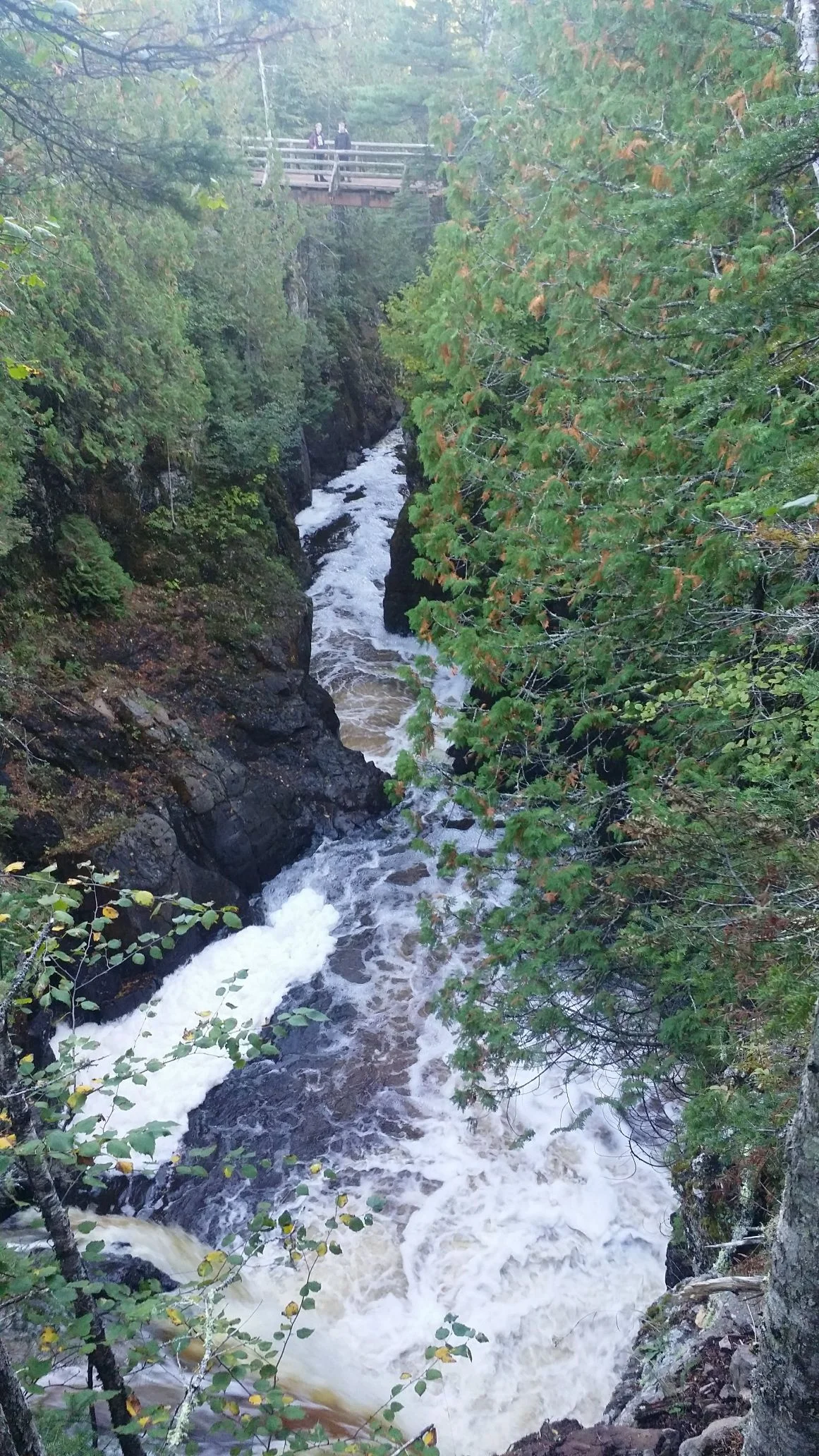 20180921_175430001_1551894949391.jpeg