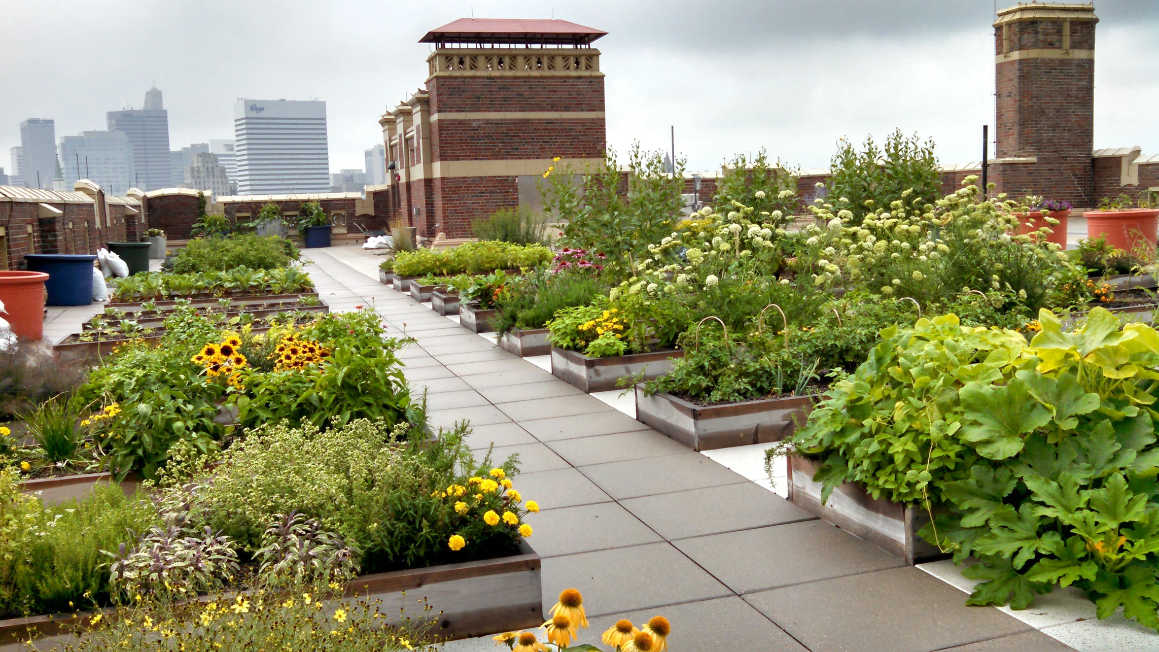Rothenberg Rooftop Garden (RRG)