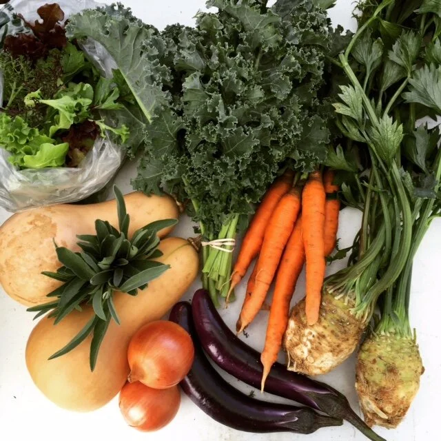 Time to join a CSA