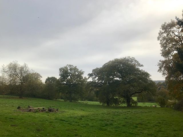 Our #bonfire is almost ready for the #Samhain and #halloween #ghost #story #celebration #tonight in the #English #countryside #native #land of #thomashardy #filmsadaptedfrombooks #filmadaptationsofbooks #filmsinspiredbynature #film #indiefilm #indepe