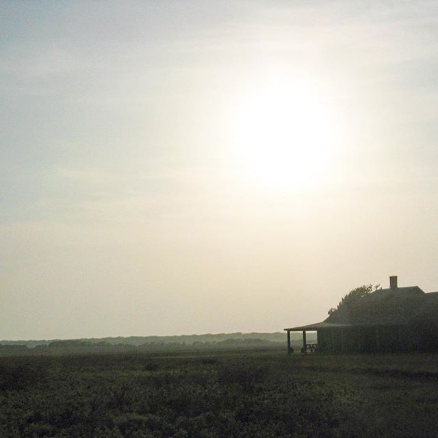 Happy #summer #solstice #longestdayoftheyear #culmination #change #rebirth #sun #king #blesstheland #lightoftruth #goddess #blessing  #holygrail #cupofhappiness #indiefilm #mistover #themistovertale #marthasvineyard ##filmsadaptedfrombooks #nature #p