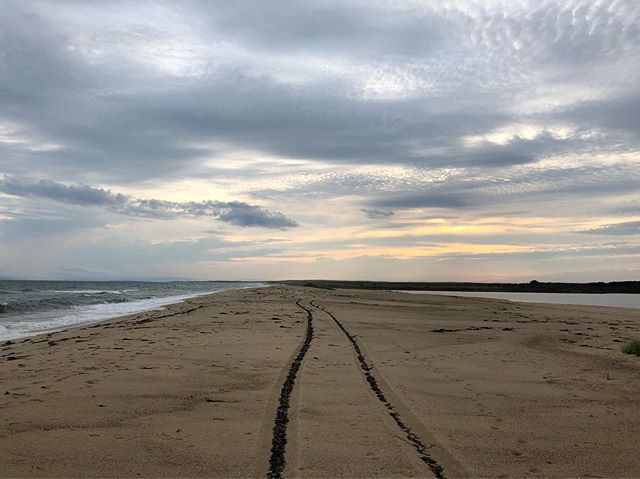 A #road to the #sunset carved in the #beach, the route darkened by #seaweed in its grooves... #marthasvineyard #indiefilm #filmsadaptedfrombooks #thereturnofthenative #mistover #themistovertale #newengland #summer #eclipse