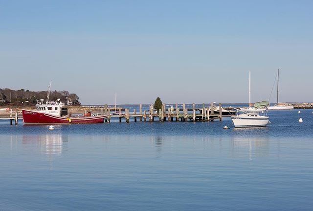 A Very Merry Yuletide to all!🎄#Yule #Noel #calm #harbor #winter #solstice #midwinter #marthasvineyard #indiefilm #mistover #themistovertale