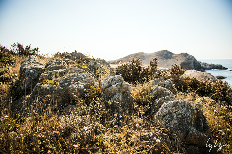 LYLYPHOTOGRAPHYLABOR17-16.jpg