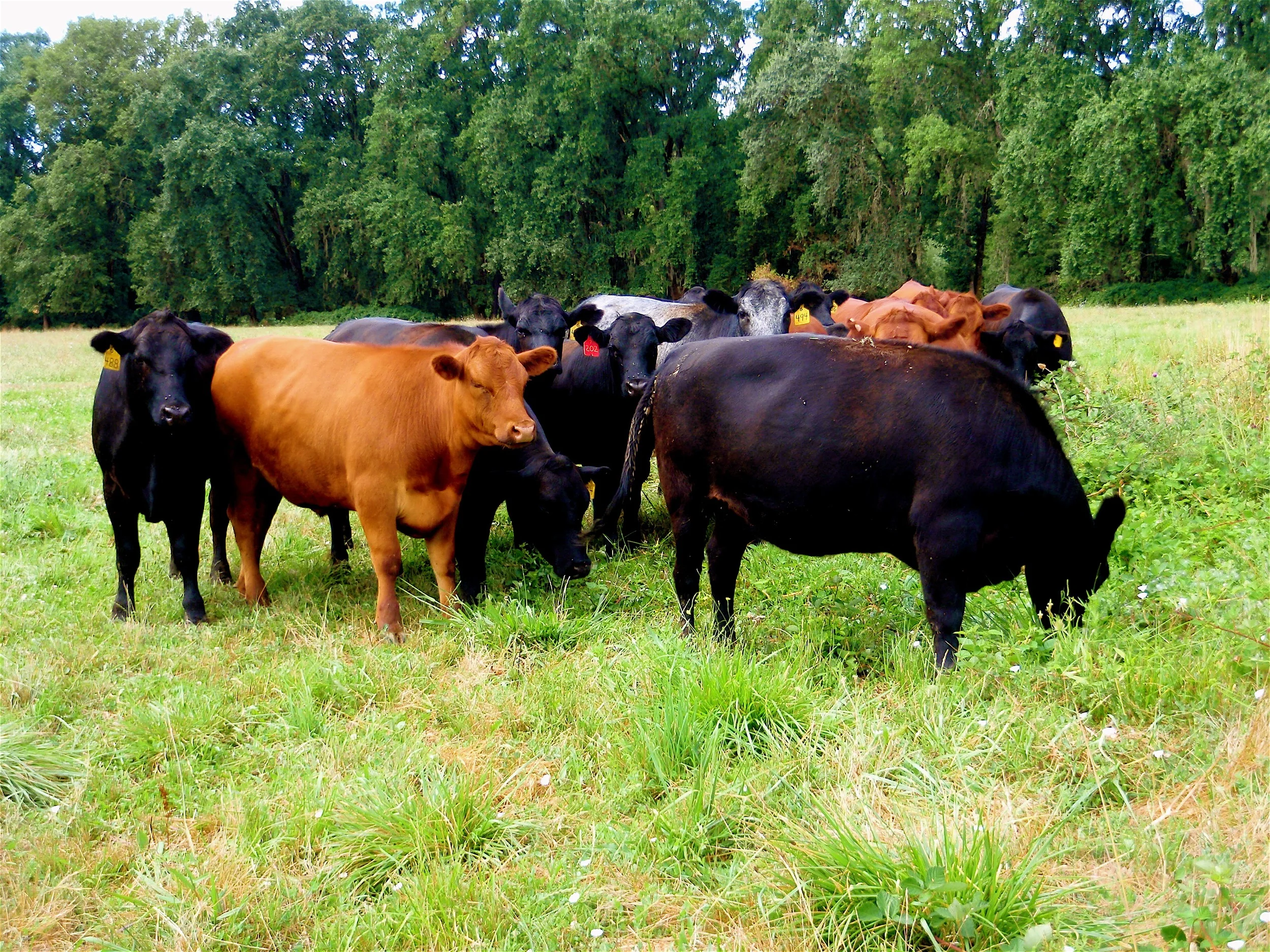 All Ranch - 084.jpg