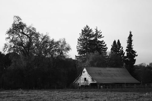 B_W+barn.jpg