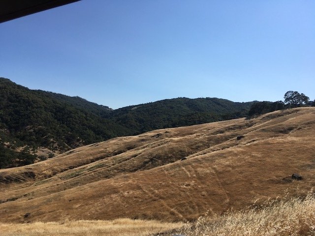 IMG_1252.jpeg