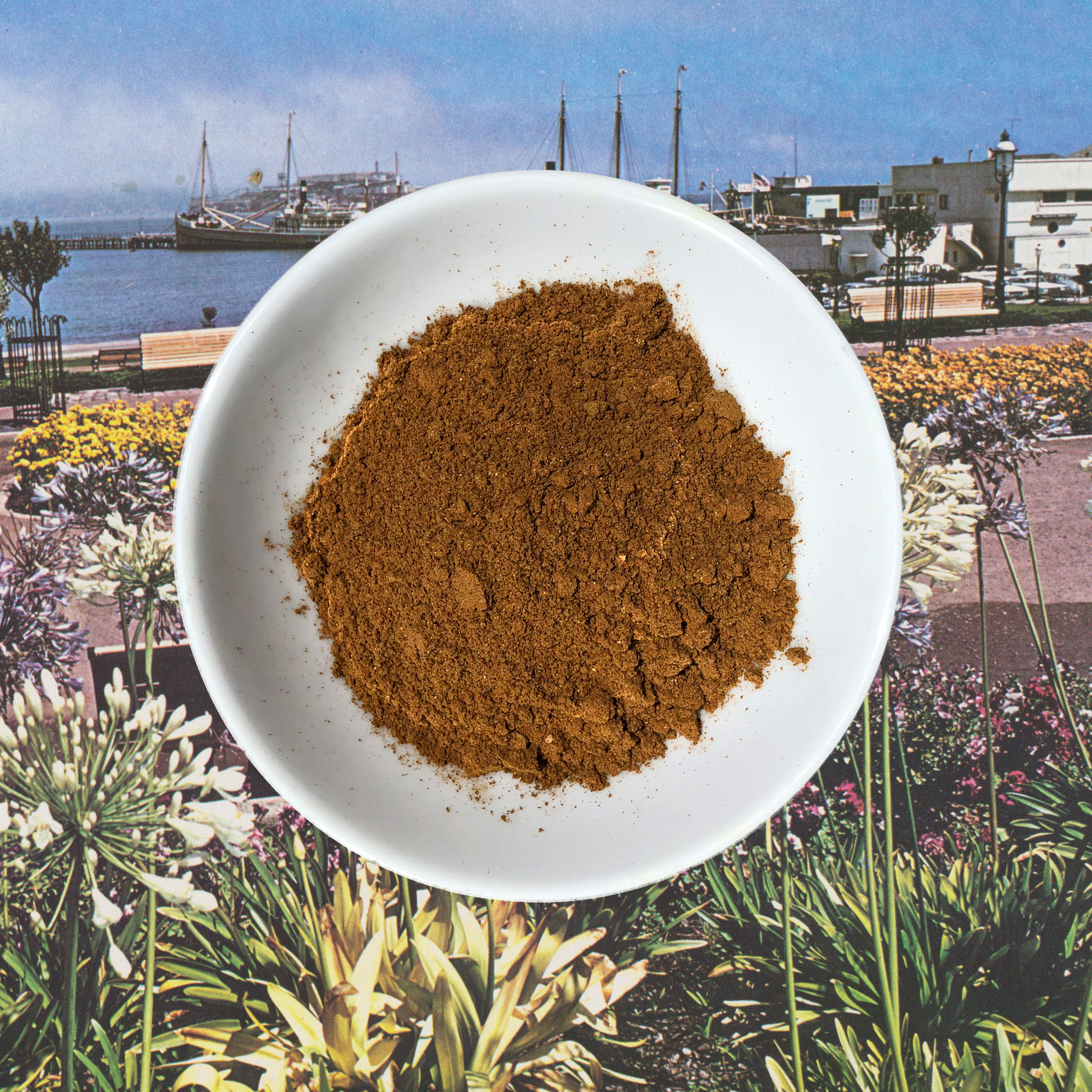 chaga_chai.jpg