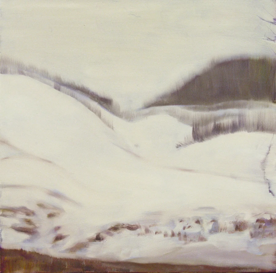 vineland winter