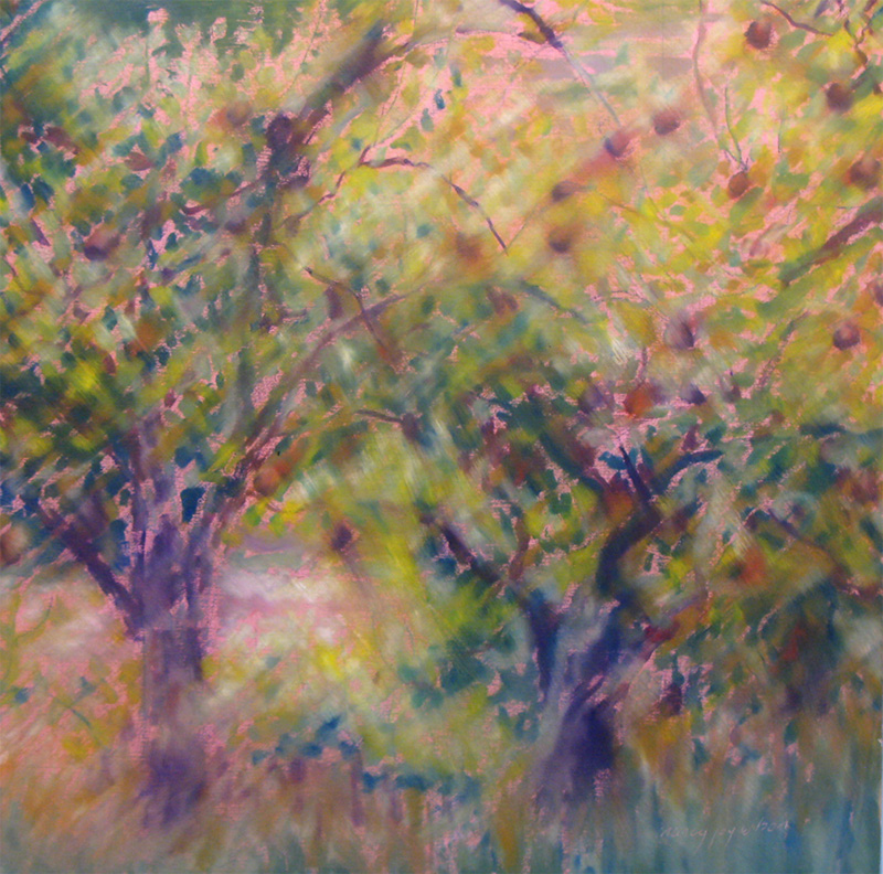 pear trees