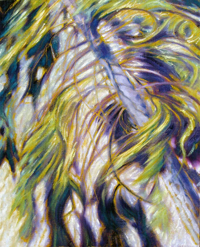 billowing boughs