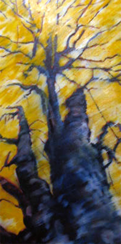 sunburst tree portrait
