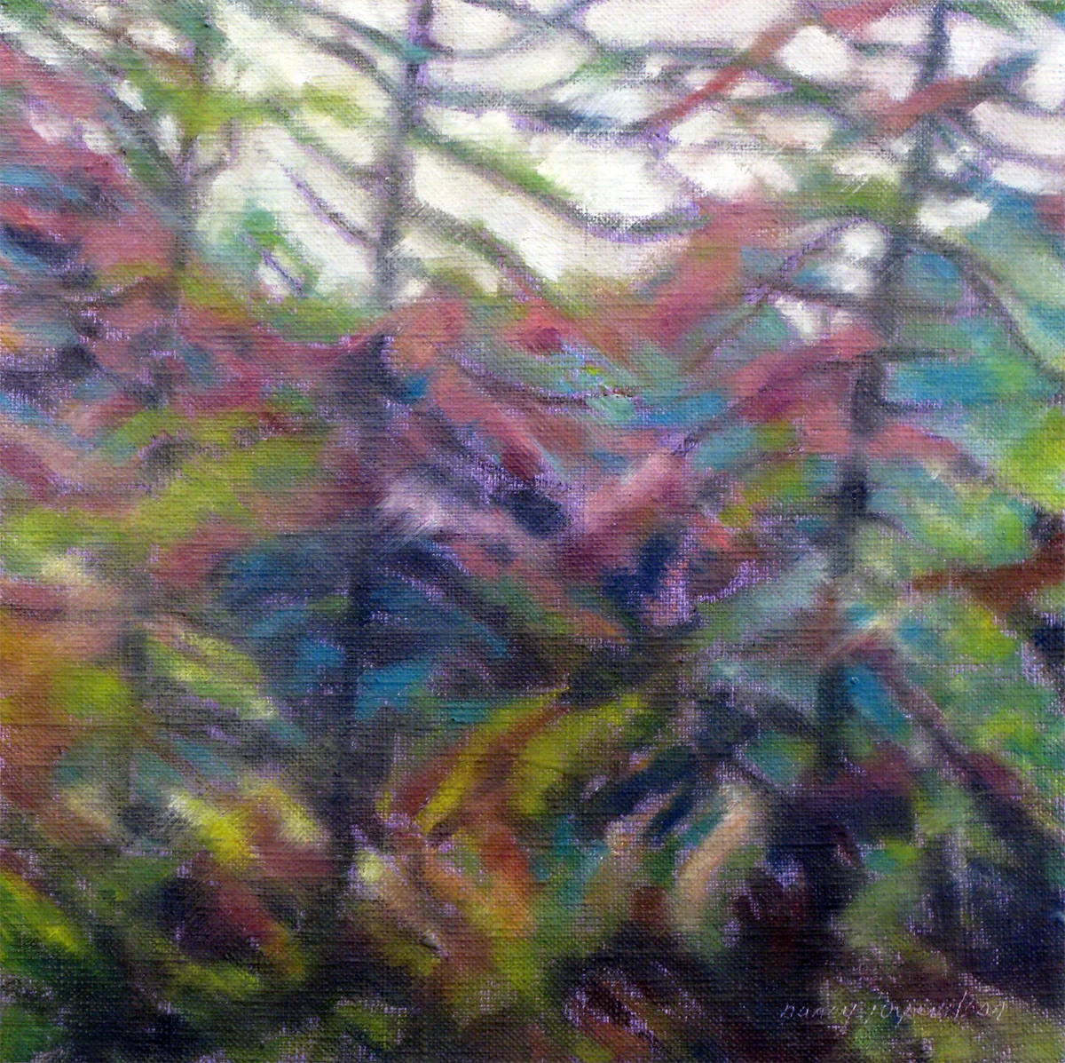 a forest dream