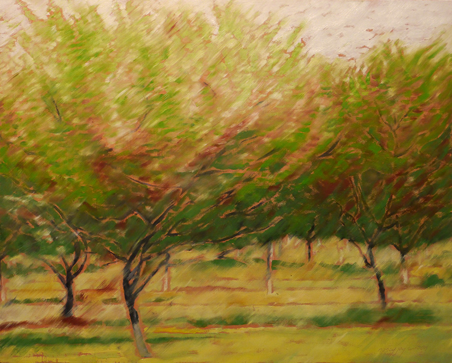 lightness and breeze