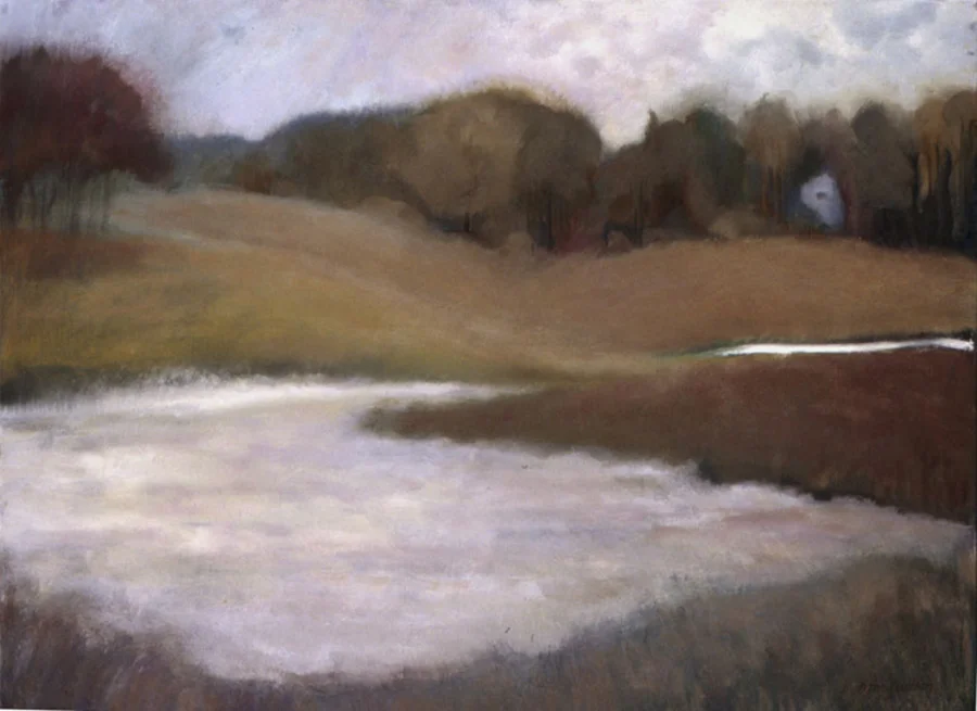 frozen pond
