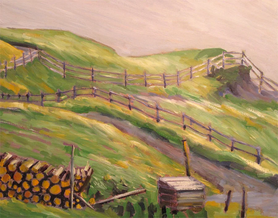 fences and fields