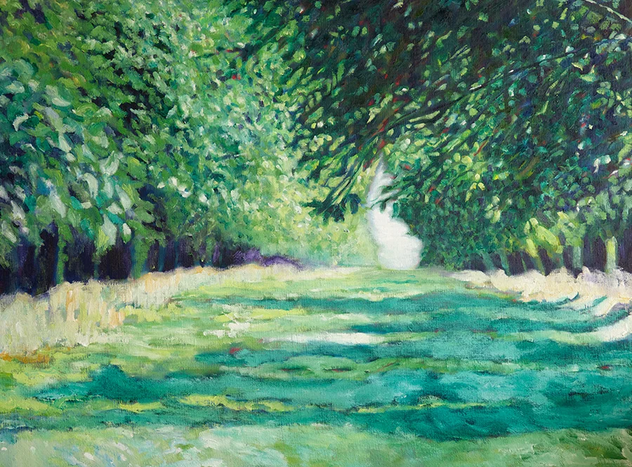 cool orchard shadows