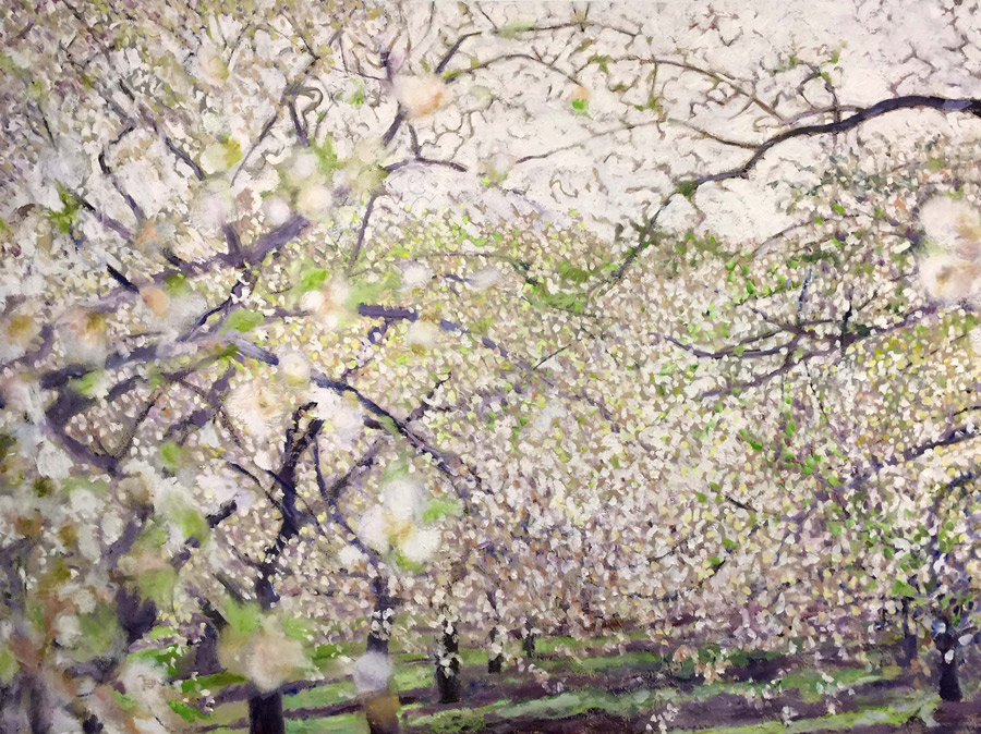 through the blossoms