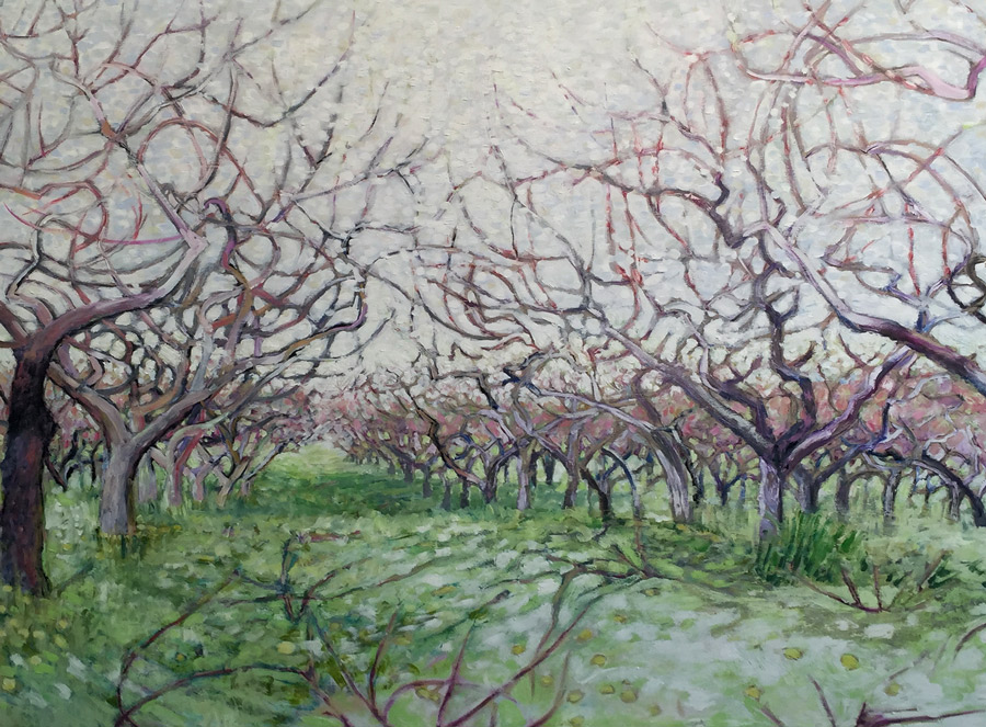 dappled orchard