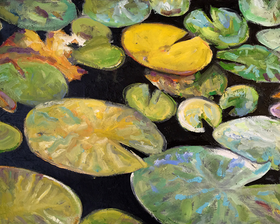 lil' yellow lily pad