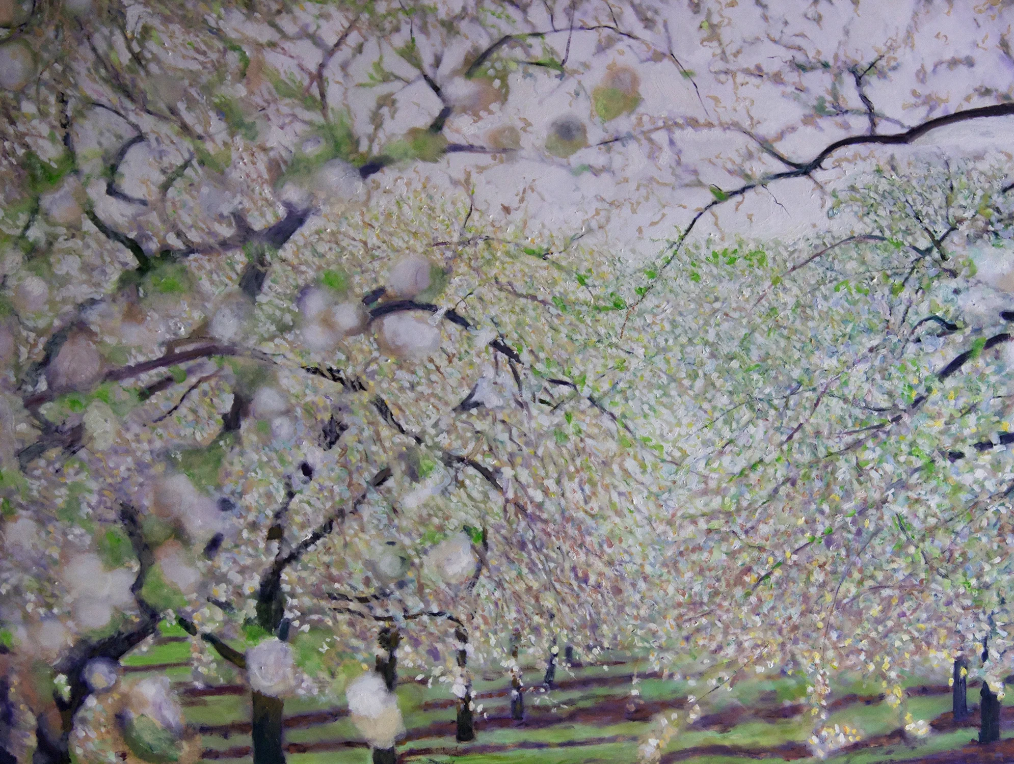 bursting into spring