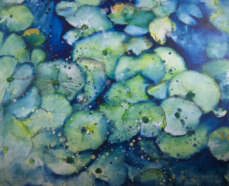 watery lilies