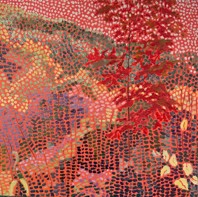 lone red maple