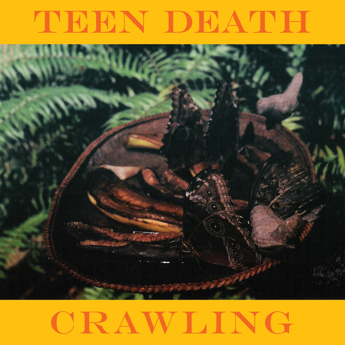 teendeath.jpg