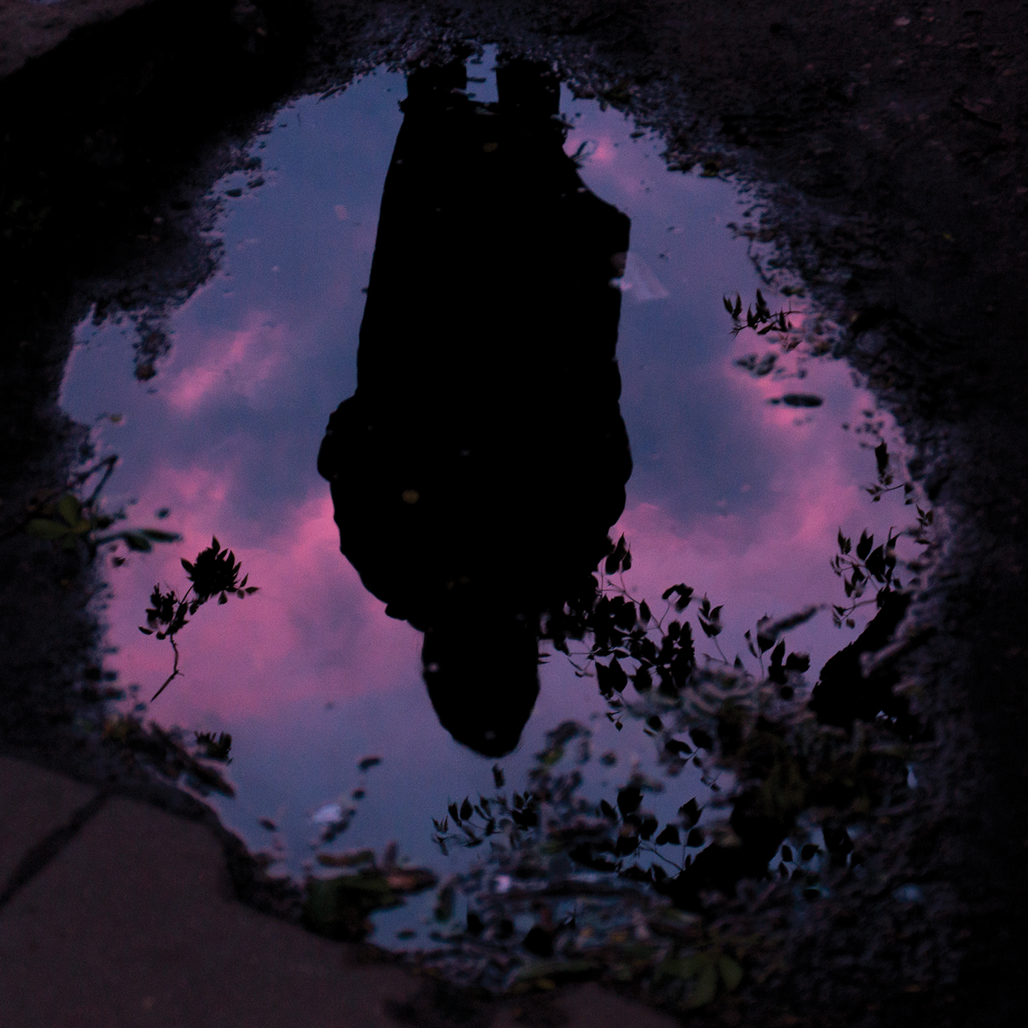 Aurora High Res Album Cover.4332b8924035468d869606a4b24e8f3b.png
