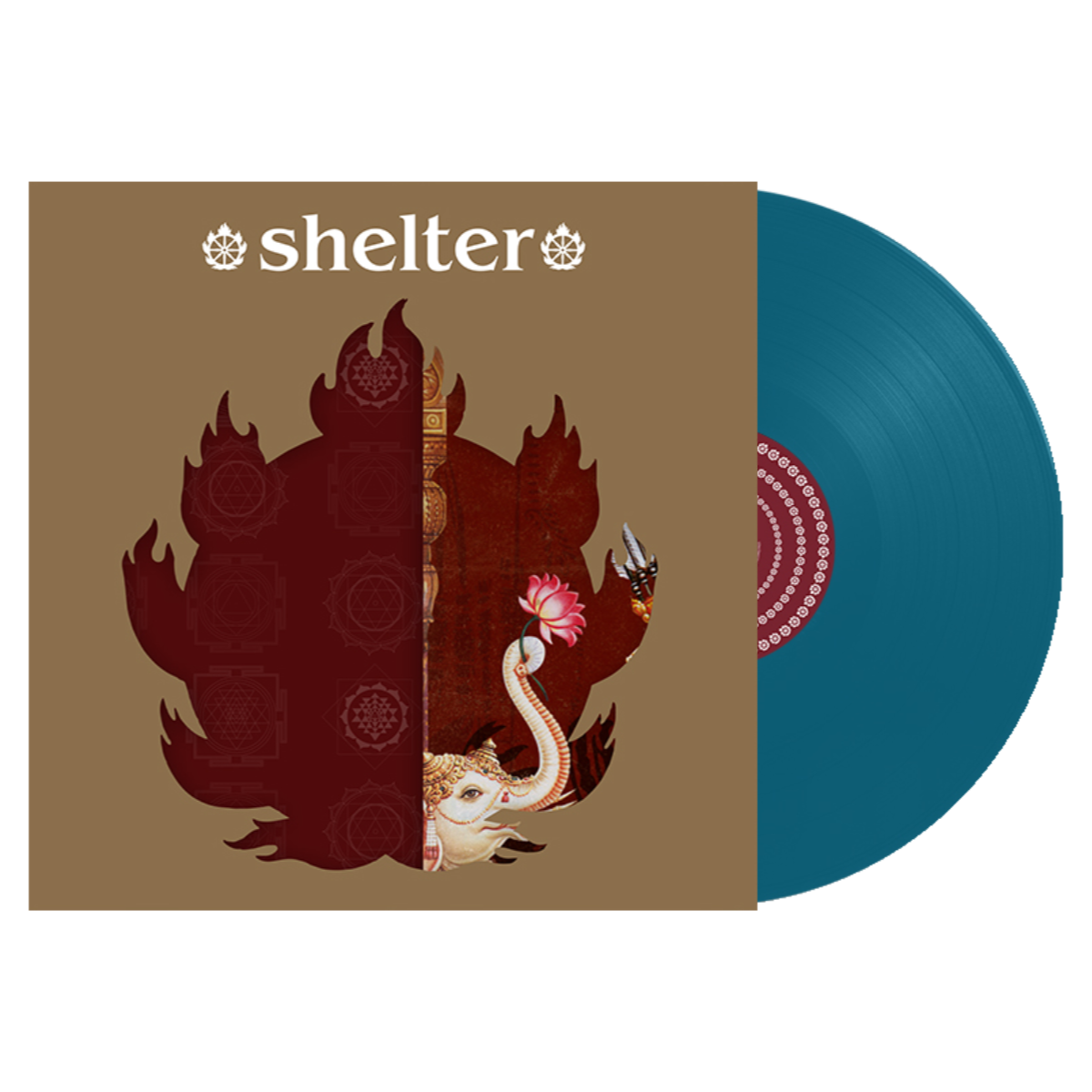 Shelter - The Purpose The Passion - Aqua Blue.png
