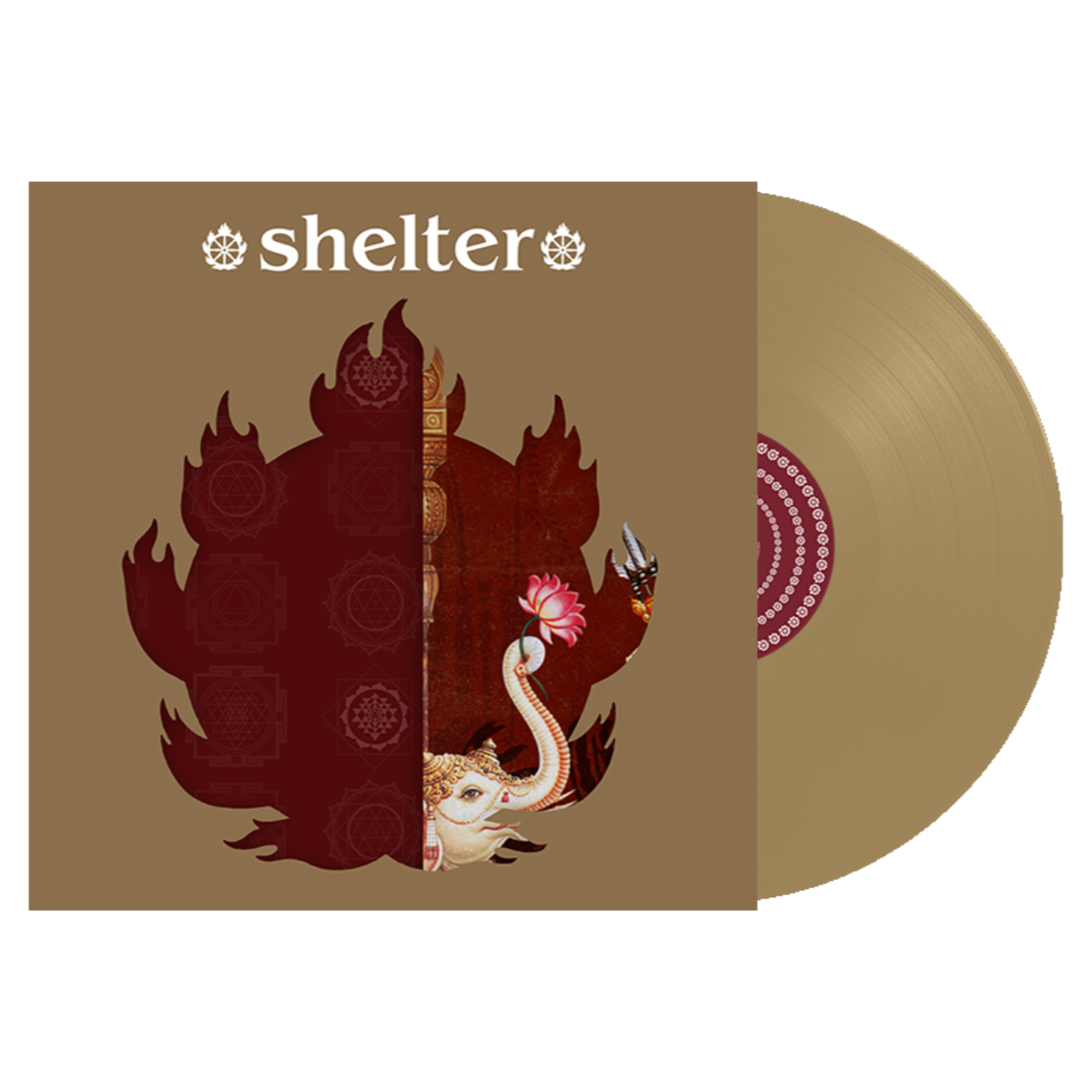 Shelter - The Purpose The Passion - Gold.png