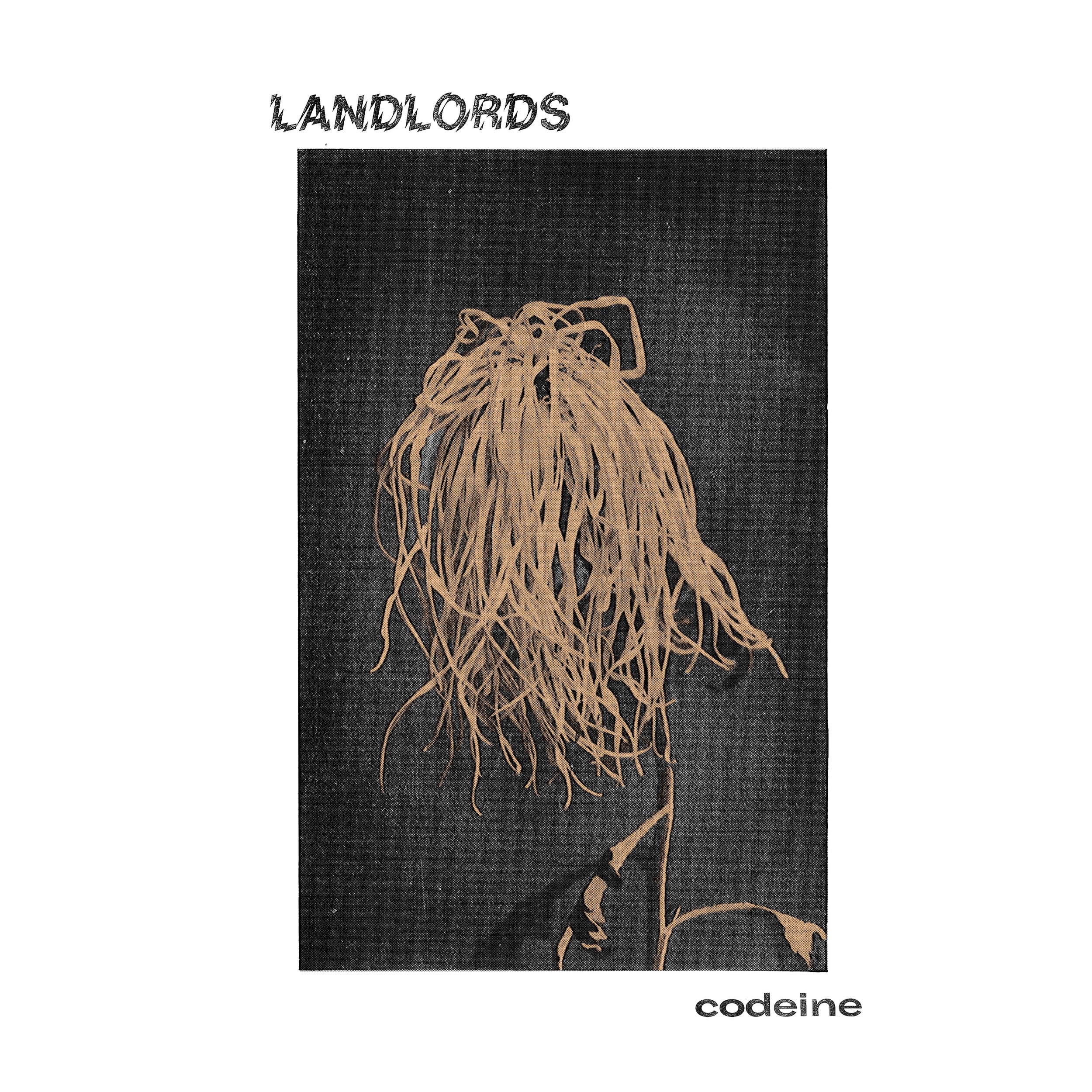 Landlords - Codeine - Cover.jpg